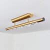 RODECHE Ceiling Light LED brass, 1-light source