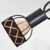 TARASP Ceiling Light black, 3-light sources