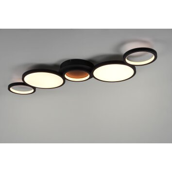 Trio-Leuchten SALSA Ceiling Light LED black, 1-light source
