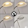 BIOT Floor Lamp LED matt nickel, 2-light sources
