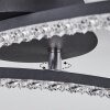 RHEINFELDEN Ceiling Light LED black, 1-light source