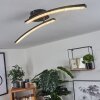 RHEINFELDEN Ceiling Light LED black, 1-light source