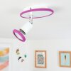 CABRI Ceiling Light LED chrome, purple, white, 1-light source