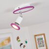 CABRI Ceiling Light LED chrome, purple, white, 1-light source