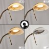 BIOT Floor Lamp LED antique brass, 2-light sources