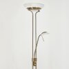 BIOT Floor Lamp LED antique brass, 2-light sources