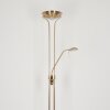 ROM Floor Lamp LED antique brass, 2-light sources