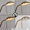 ROM Floor Lamp LED brass, 2-light sources