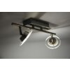 Leuchten Direkt LOLA-MIKE Ceiling Light LED stainless steel, 2-light sources, Remote control, Colour changer