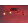 Leuchten Direkt LOLA-MIKE Ceiling Light LED stainless steel, 4-light sources, Remote control, Colour changer