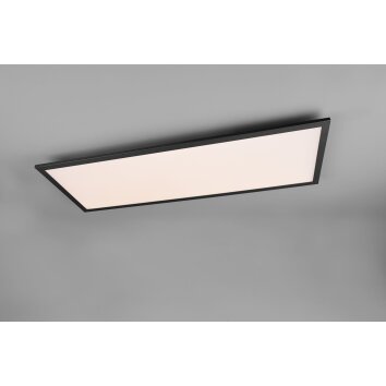 Reality GAMMA Ceiling Light LED black, 1-light source, Remote control