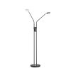 Fischer & Honsel DENT Floor Lamp LED black, 2-light sources