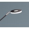 Fischer & Honsel DENT Floor Lamp LED black, 2-light sources