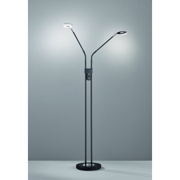 Fischer & Honsel DENT Floor Lamp LED black, 2-light sources