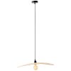 Brilliant JEFTER Pendant Light black, 1-light source