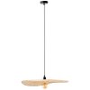 Brilliant JEFTER Pendant Light black, 1-light source
