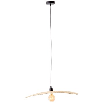 Brilliant JEFTER Pendant Light black, 1-light source