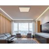 Globo JESSY Ceiling Light LED black, 1-light source, Remote control