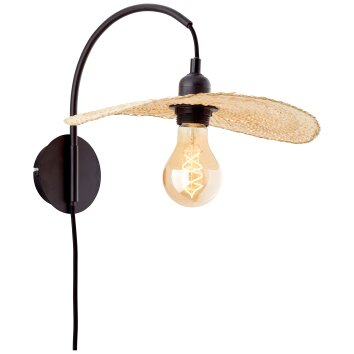 Brilliant JEFTER Wall Light black, 1-light source