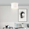 Brilliant ESHER Ceiling Light silver, 1-light source