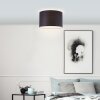 Brilliant ESHER Ceiling Light silver, 1-light source