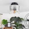 WICHITA Ceiling Light smoke coloured, black, 1-light source