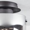 WICHITA Ceiling Light smoke coloured, black, 1-light source