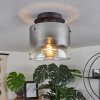 WICHITA Ceiling Light smoke coloured, black, 1-light source
