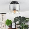 WICHITA Ceiling Light smoke coloured, black, 1-light source