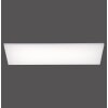 Paul Neuhaus FRAMELESS Ceiling Light LED white, 1-light source, Remote control, Colour changer
