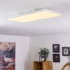 BUENAVENTURA Ceiling Light LED white, 1-light source, Remote control, Colour changer