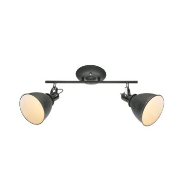 Globo ceiling light grey, 2-light sources