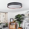 CACHALOT Ceiling Light LED copper, black, 1-light source, Remote control, Colour changer