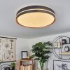 CACHALOT Ceiling Light LED copper, black, 1-light source, Remote control, Colour changer