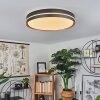 CACHALOT Ceiling Light LED copper, black, 1-light source, Remote control, Colour changer