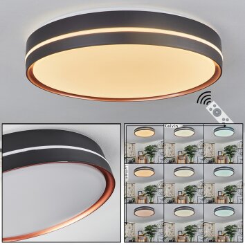 CACHALOT Ceiling Light LED copper, black, 1-light source, Remote control, Colour changer