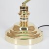 HAVSTA Table lamp brass, 1-light source