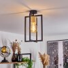BERGO Ceiling Light Ecru, black, 1-light source