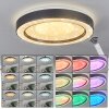 ZEBALLOS Ceiling Light LED white, 1-light source, Remote control, Colour changer
