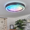 ZEBALLOS Ceiling Light LED white, 1-light source, Remote control, Colour changer