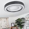 ZEBALLOS Ceiling Light LED white, 1-light source, Remote control, Colour changer