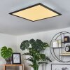 WILDERSWIL Ceiling Light LED white, 1-light source