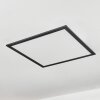 WILDERSWIL Ceiling Light LED white, 1-light source