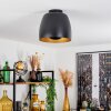 VIKING Ceiling Light black, 1-light source