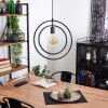 TERCEL Pendant Light black, 1-light source