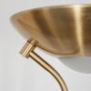 WILLIAMSPORT Floor Lamp brass, 2-light sources