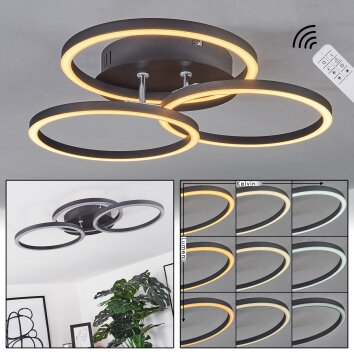 XENA Ceiling Light LED black, 1-light source, Remote control