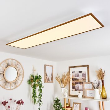 BARASAT Ceiling Light LED white, 1-light source