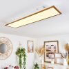 BARASAT Ceiling Light LED white, 1-light source