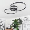 LITHGOW Ceiling Light LED black, 2-light sources, Remote control, Colour changer
